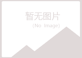 德格县晓夏咨询有限公司